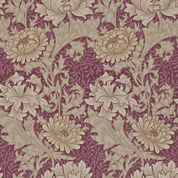 Chrysanthemum Wine | Morris & Co.