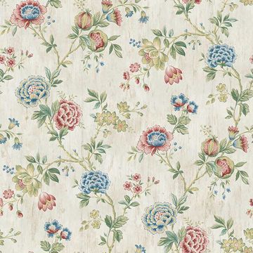 Chrysanthemum Ruby Jacobean | Jeffrey Stevens - Image 4