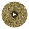 Clara House Gold Mica Circular Swatch | DW