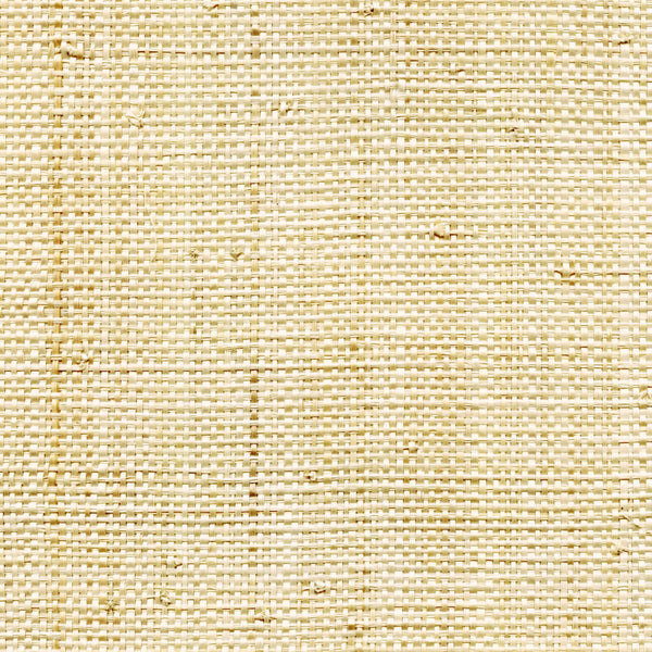 Raphia Naturel Écru | CMO Paris