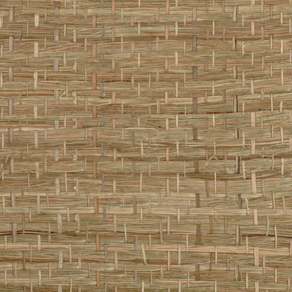 Abaca Herbacé Olive | CMO Paris