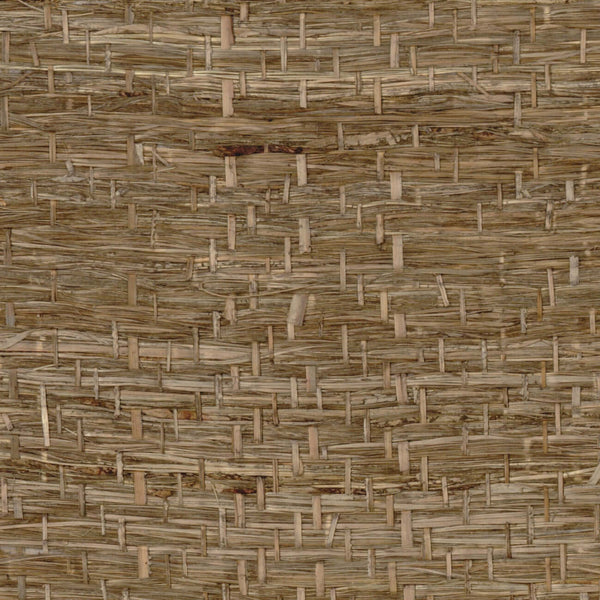 Abaca Herbacé Pierre | CMO Paris