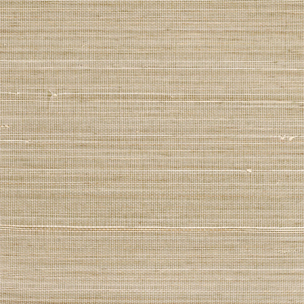 Abaca Dense Sable | CMO Paris