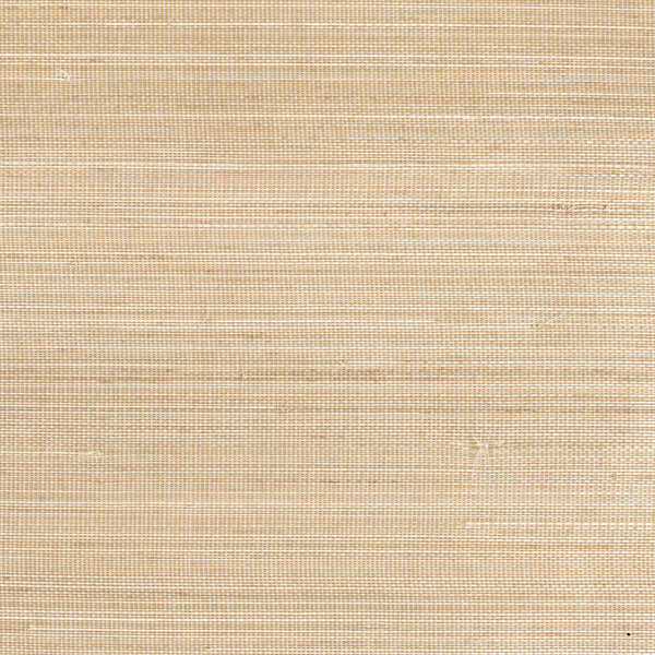 Abaca Dense Miel | CMO Paris