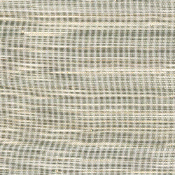 Abaca Dense Celadon | CMO Paris