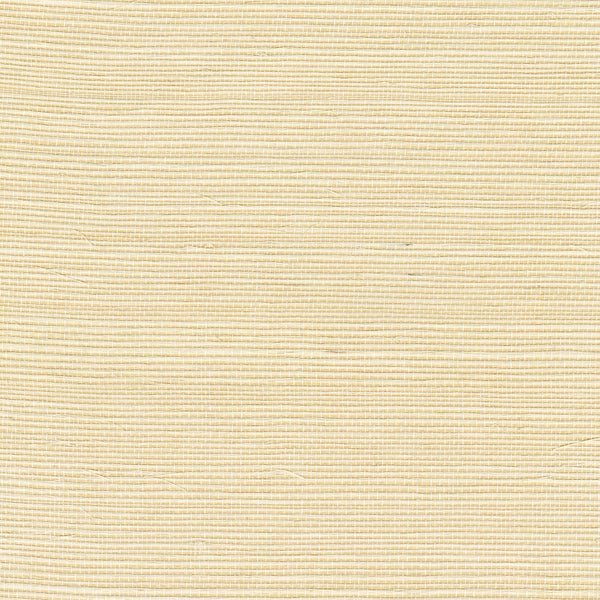 Sisal Ecru | CMO Paris