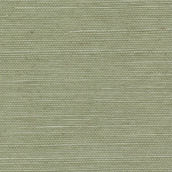 Sisal Amande | CMO Paris