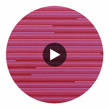 Cody Cantina Wallcovering Circular Swatch | DW