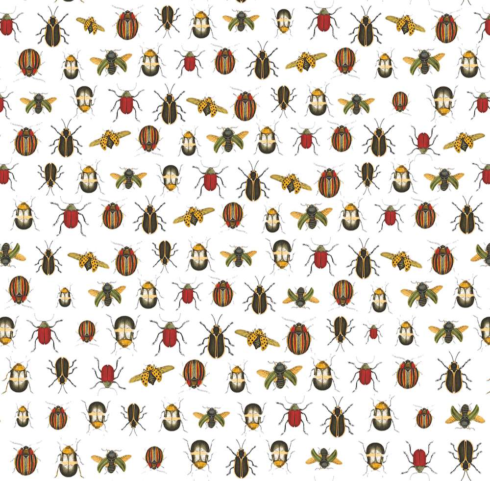 Coleopter 2602-1