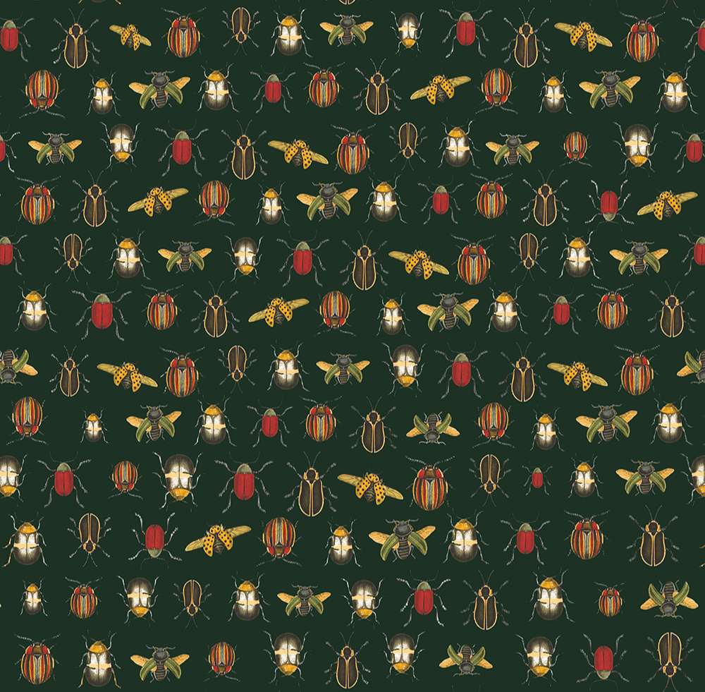 Coleopter 2602-4