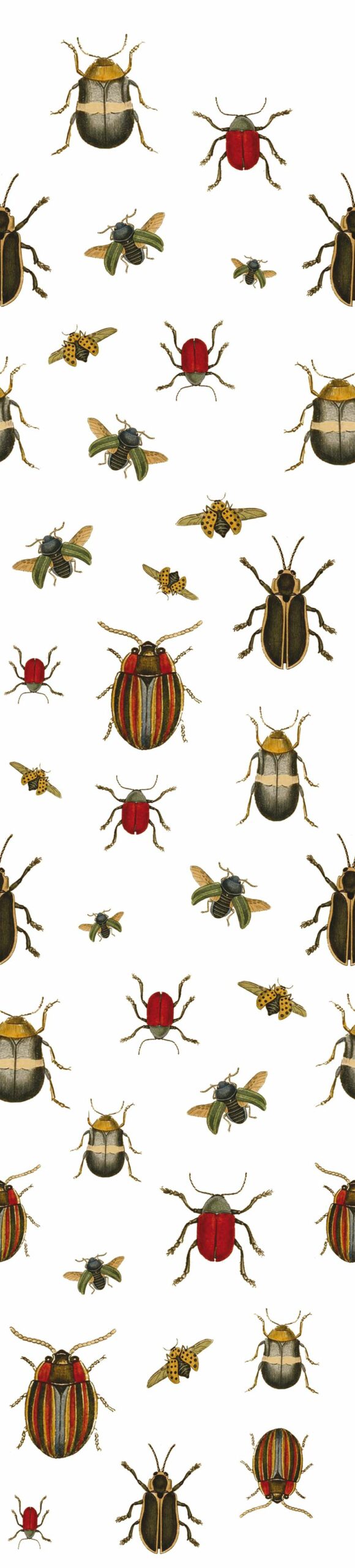Coleopter P2602-1 Wallcovering | Tres Tintas