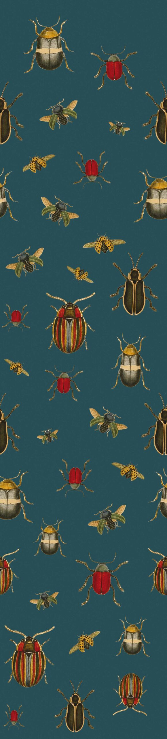 Coleopter P2602-3 Wallcovering | Tres Tintas