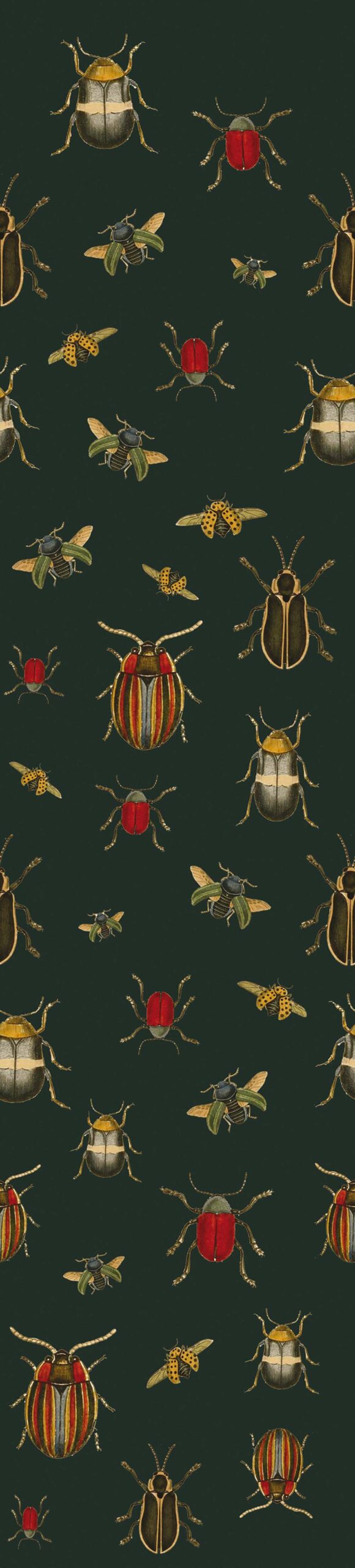 Coleopter P2602-4 Wallcovering | Tres Tintas