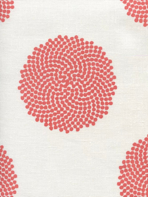 Coral on Ivory | Home Couture
