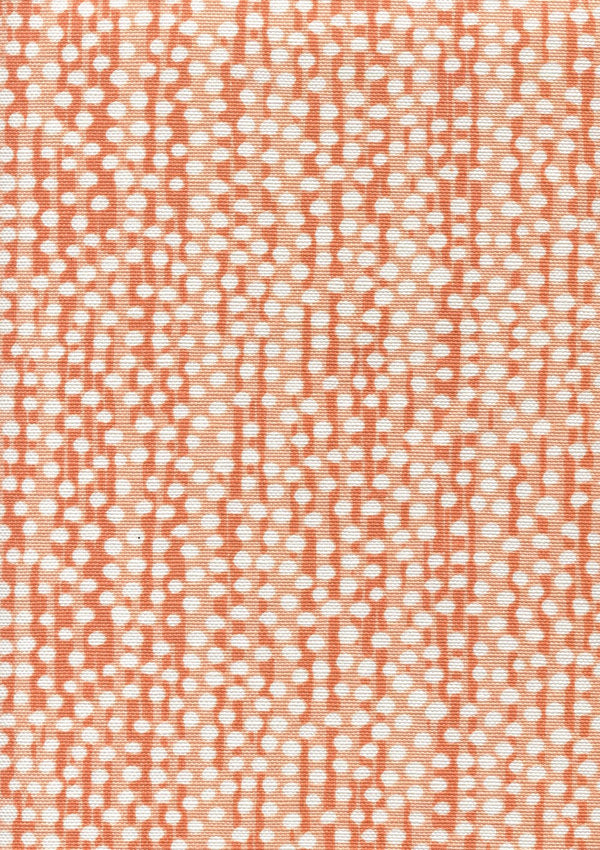 Coral on White Wallcoverings | Alan Campbell