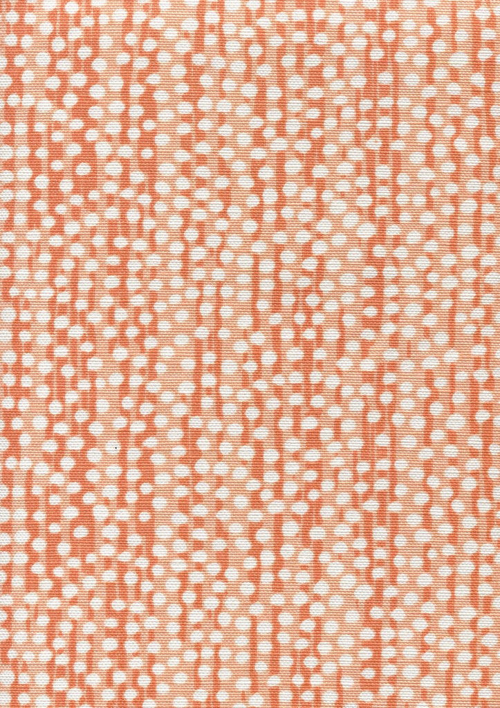 Coral on White