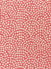 Coral on White