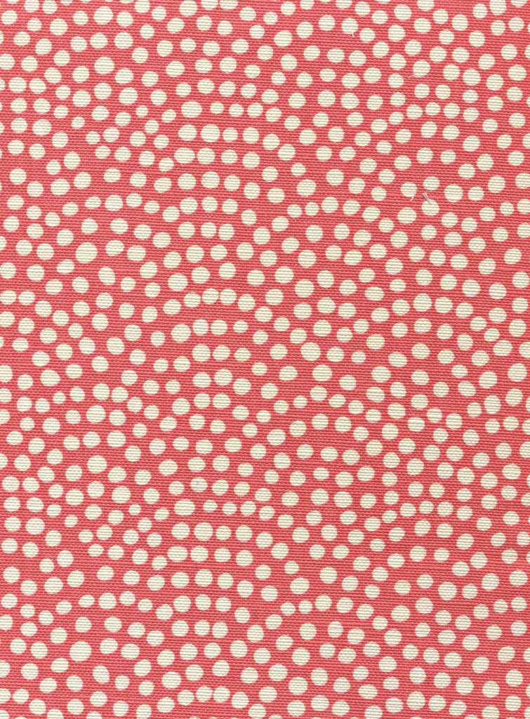 Coral on White