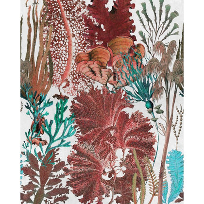 Coral Reef - Coral Reef Wallcovering | Mind the Gap