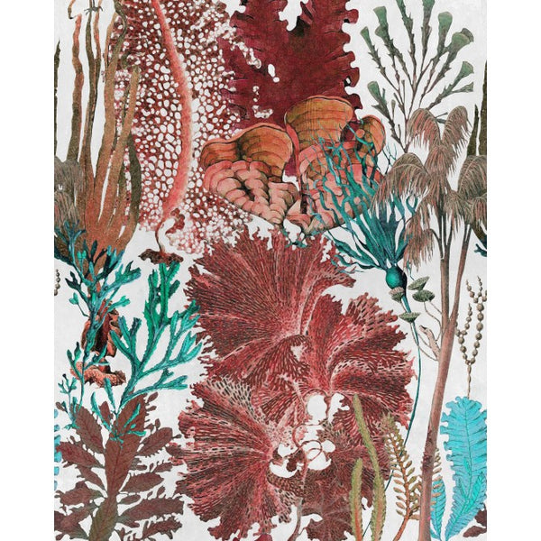 Coral Reef - Coral Reef Wallcovering | Mind the Gap