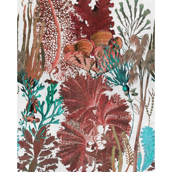 Coral Reef Wallpaper | Mind The Gap