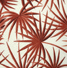 Corals on Cream