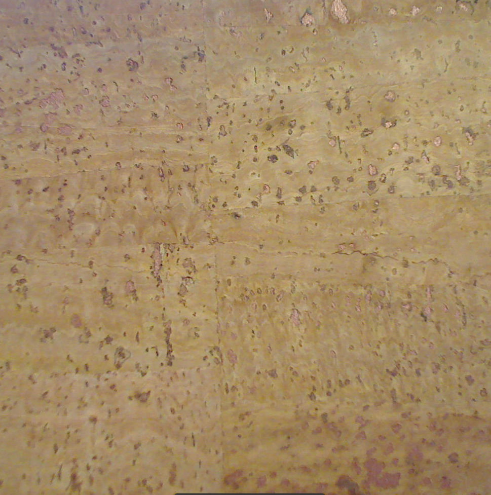 Espana Cork | Hollywood Wallcoverings