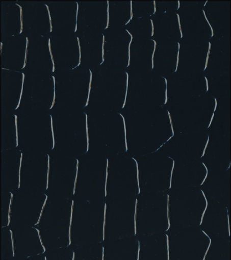 REW-6215 Bedford Drive Crocodile Animal Skin Vinyl Midnight. designer-wallcoverings-los-angeles