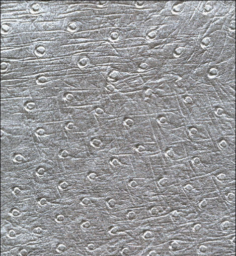 REW-6209 Roxbury Drive Ostrich Skin Vinyl Smoky Pearl designer-wallcoverings-los-angeles