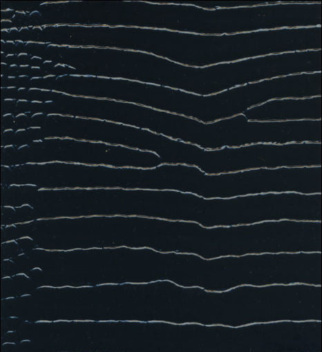 Beverly Drive Animal Skin Snake Vinyl - Midnight | Hollywood Wallcoverings