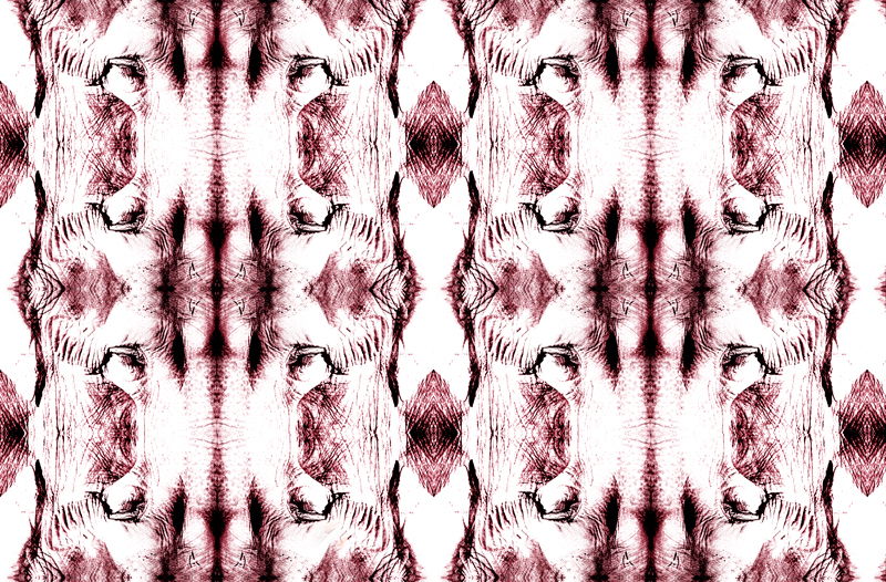 Elephant Skin Walls  - 01 Rose Red Wallcovering | DW Bespoke Studios