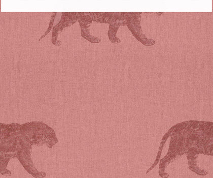 Cheetahs | Coordone Europe