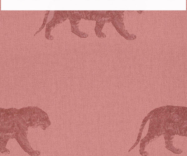 Cheetahs | Coordone Europe