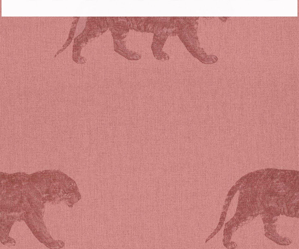 Cheetahs