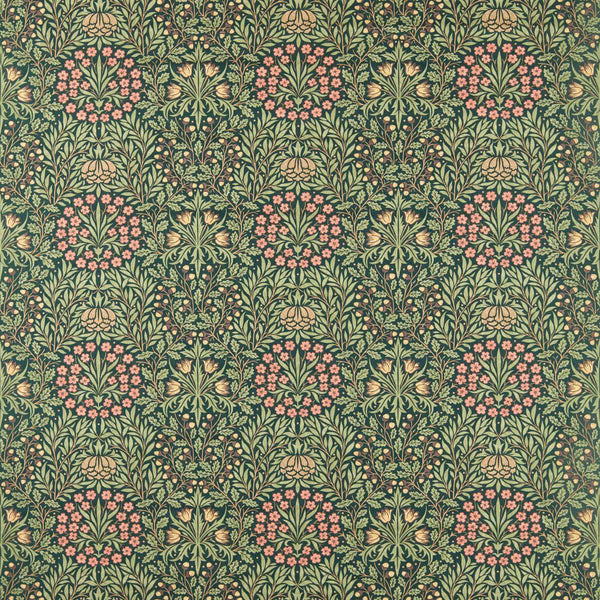 Daisy & Oak Forest | Morris & Co.