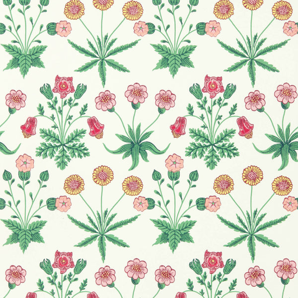 Daisy Strawberry Fields | Morris & Co.