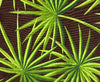 Dark Greens on Brown