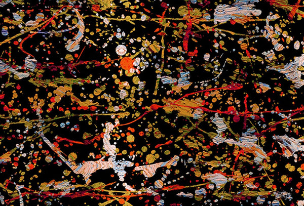 Painted Pollack Splatter | Coordone Europe