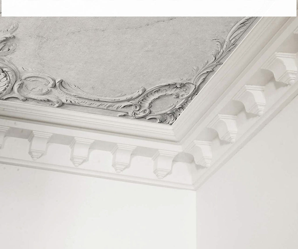 Arnot Aged Ceiling Detail