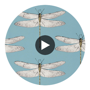 Demoiselle Cornflower First Light Honey — Harlequin Circular Swatch | Harlequin