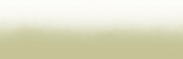 Beneath the Surface Meadow | Light Shadow