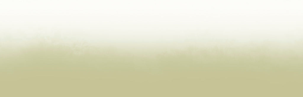 Beneath the Surface Meadow
