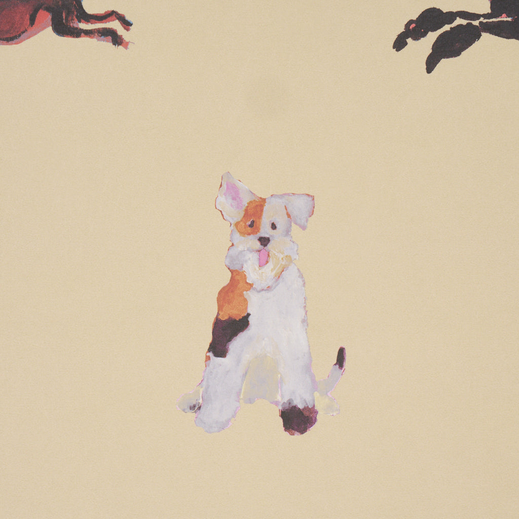 Dogs BUTTER | Schumacher - Image 6