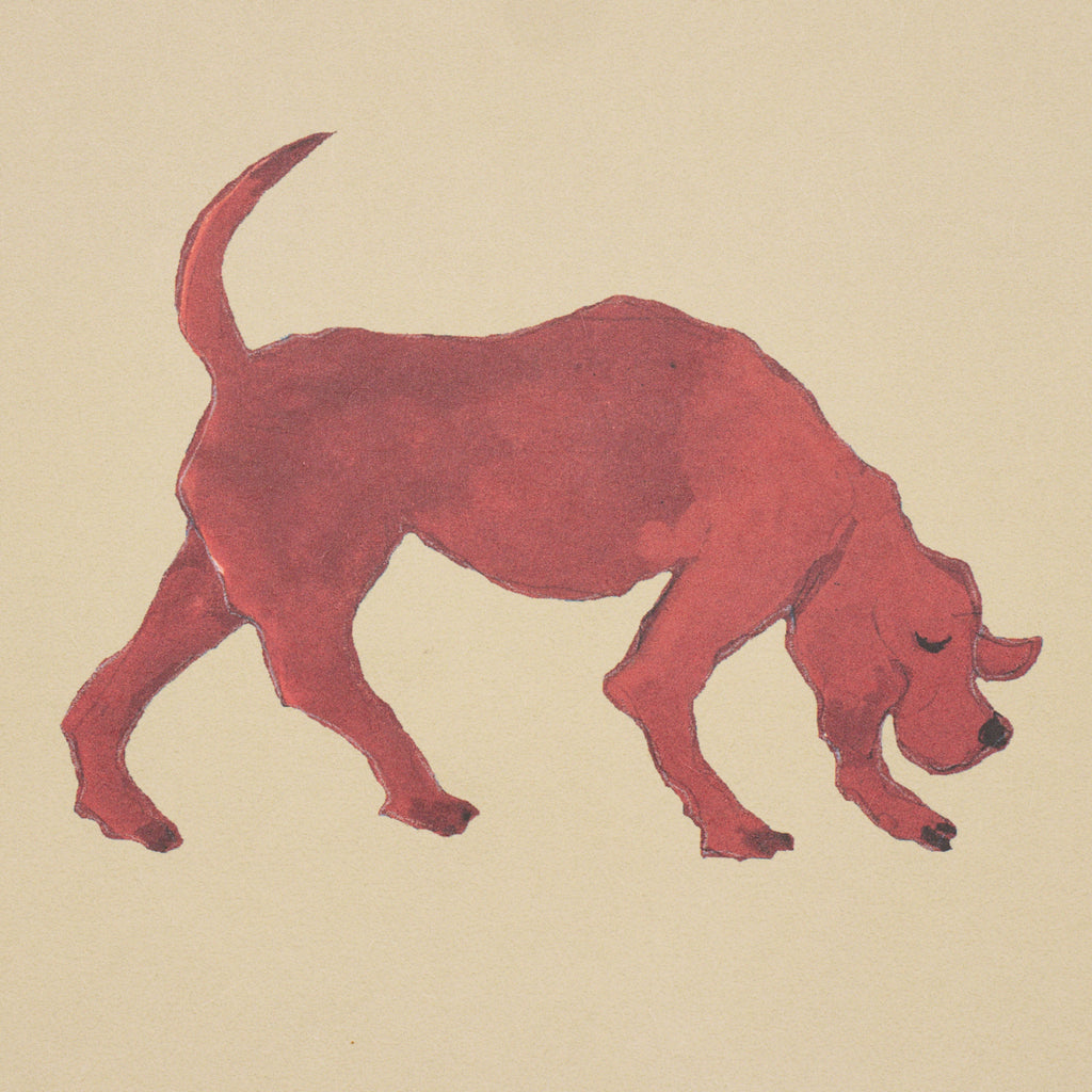 Dogs BUTTER | Schumacher - Image 8
