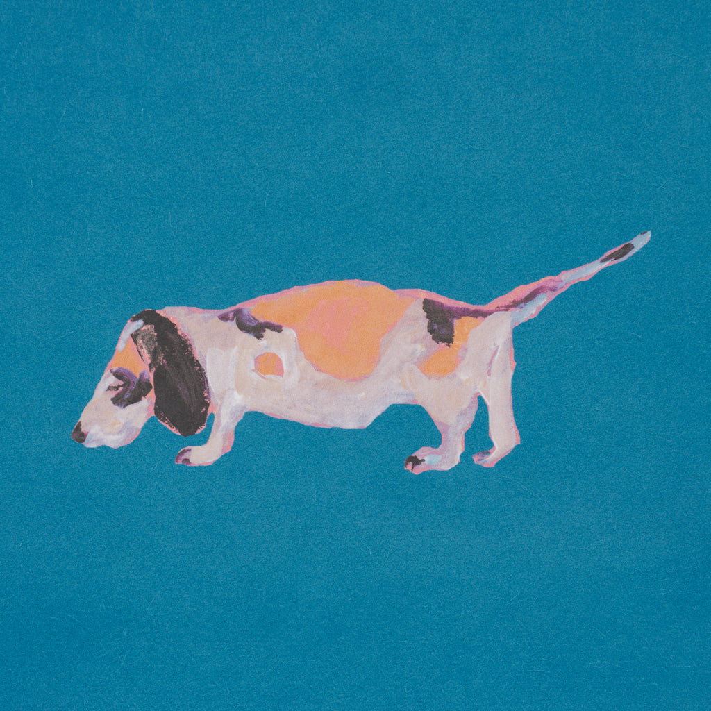 Dogs CERULEAN | Schumacher - Image 6