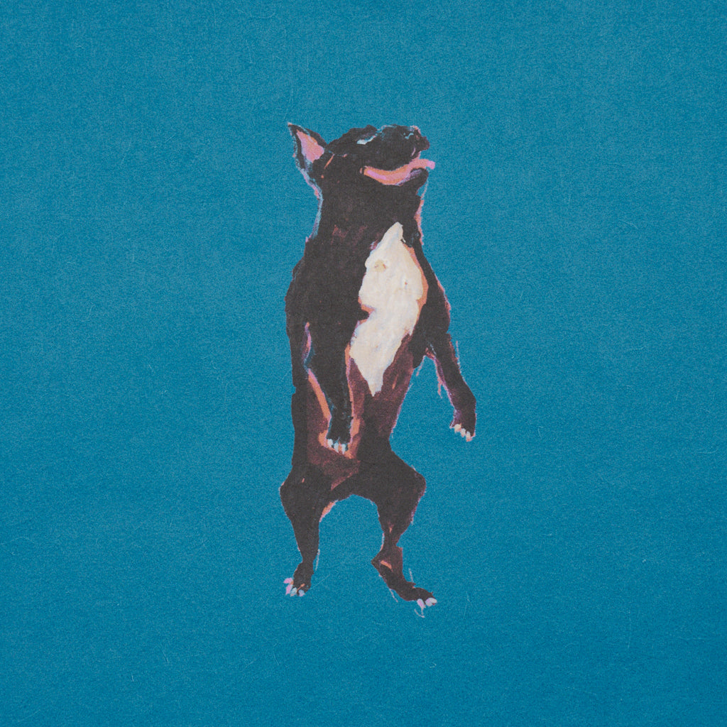 Dogs CERULEAN | Schumacher - Image 8