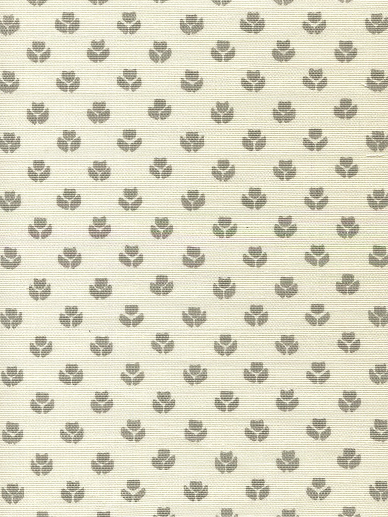 Dove Gray on Tint