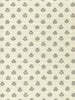 Dove Gray on Tint