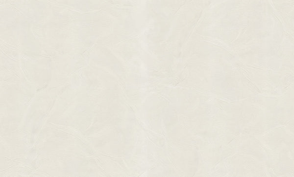 BluMarine BM29007 | Sancar
