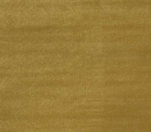 Nina Campbell Fabric - Goldenrod Wallcovering | Nina Campbell